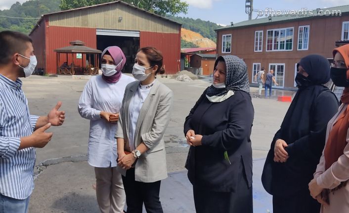 AK Kadınlar ilçe ve mahalle ziyaretlerini sürdürüyor