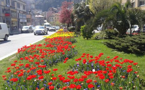 Büyükşehir Belediyesi Trabzon’da renk cümbüşü yaşatıyor 
