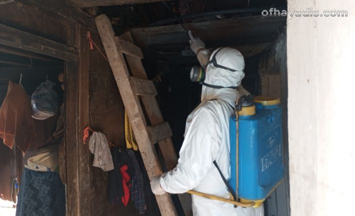 Büyükşehir kokarcayla mücadelede 17 bin noktayı ilaçladı