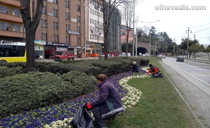 Trabzon’un yeşiline büyükşehir dokunuşu