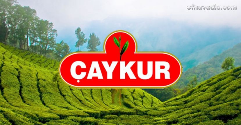 Çaykur 1500 işçi alıyor