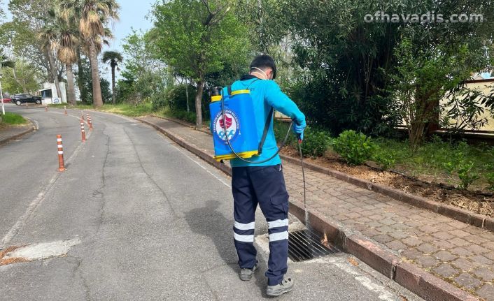 Büyükşehir vektörle mücadelede yaza hazır