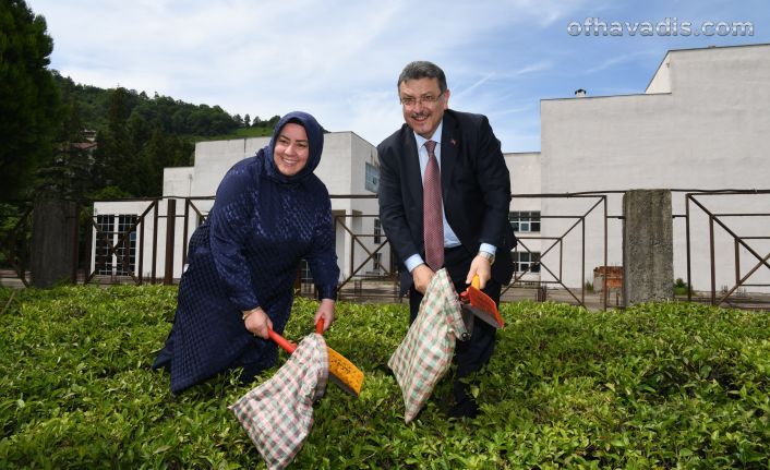 Ortahisar'da yeni bir çay fabrikası kuracağız