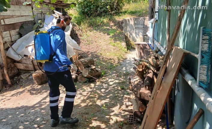 Büyükşehirden vektör seferberliği