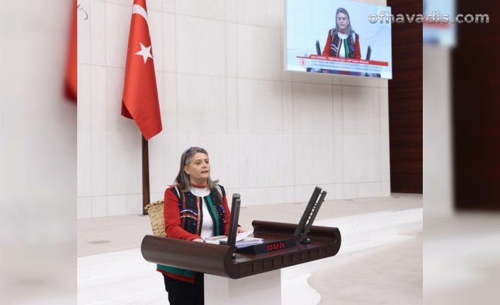 Fındıkta bu fiyat, emek saygısızlığıdır