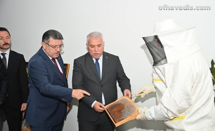 Ağasar Balı markalaşacak