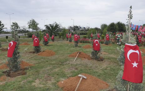 Afrin şehitleri için Trabzon’da hatıra ormanı 