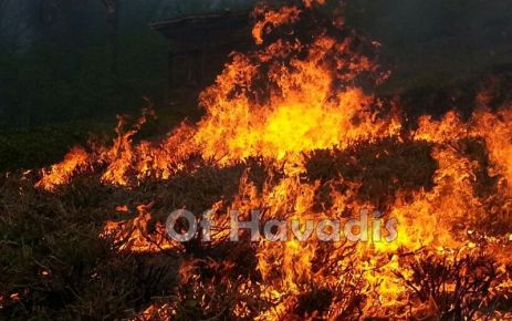 Fındıkoba’da 20 hektar arazi ve 2 ev yandı