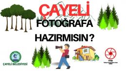 Çayeli Fotoğraflanıyor