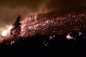 Trabzon’da 10 ilçede birden yangın