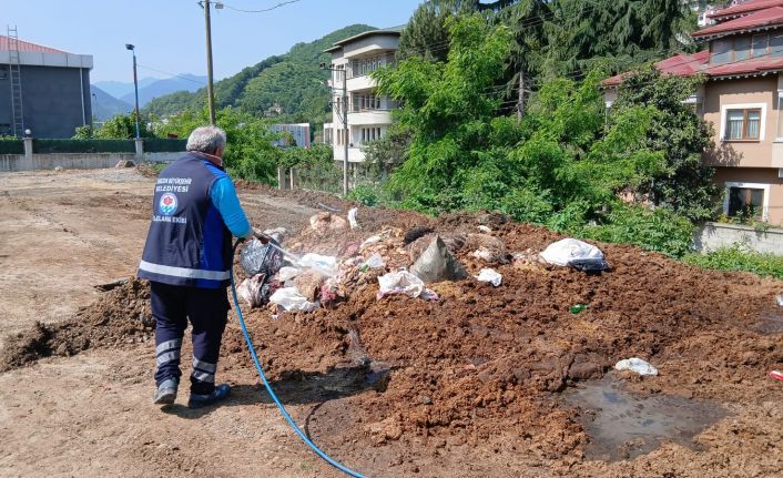 Büyükşehirden vektör seferberliği
